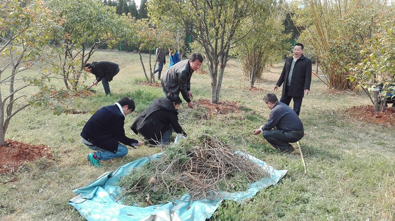 澳门49码十二生肖